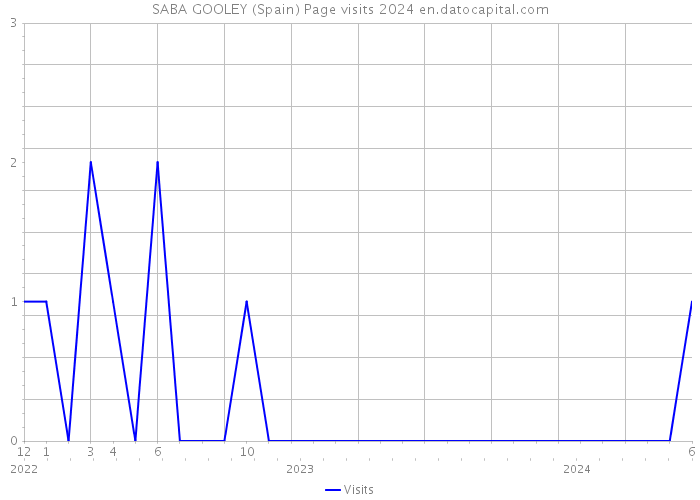 SABA GOOLEY (Spain) Page visits 2024 