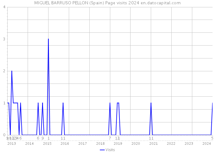 MIGUEL BARRUSO PELLON (Spain) Page visits 2024 