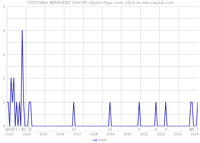 CRISTOBAL BERMUDEZ CHAVES (Spain) Page visits 2024 