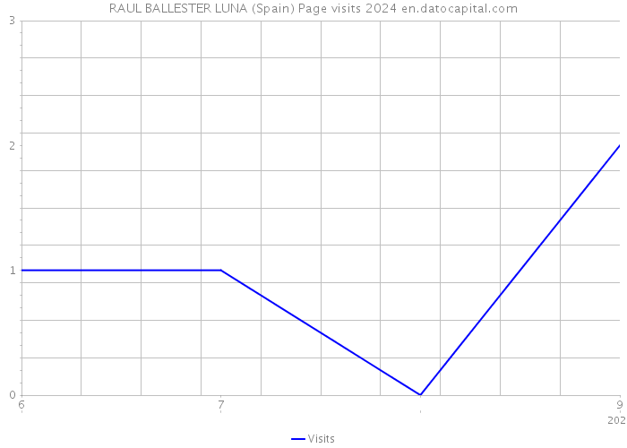 RAUL BALLESTER LUNA (Spain) Page visits 2024 