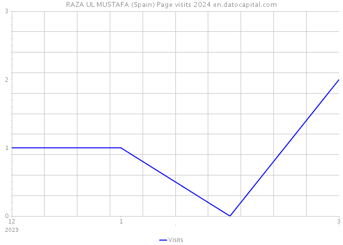RAZA UL MUSTAFA (Spain) Page visits 2024 