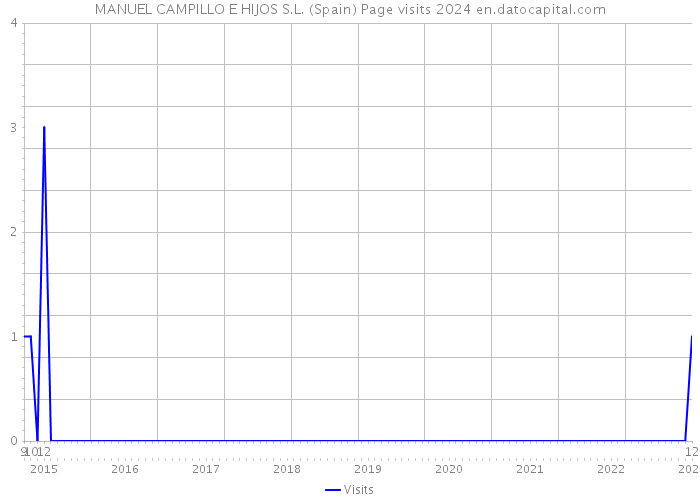 MANUEL CAMPILLO E HIJOS S.L. (Spain) Page visits 2024 