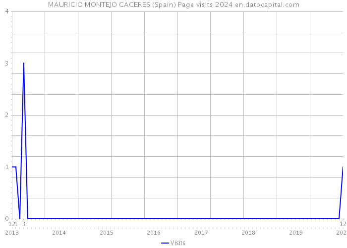 MAURICIO MONTEJO CACERES (Spain) Page visits 2024 