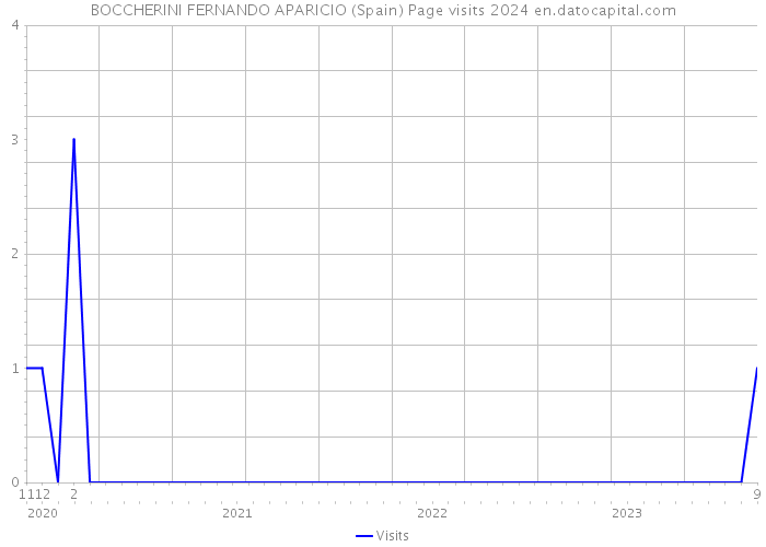 BOCCHERINI FERNANDO APARICIO (Spain) Page visits 2024 