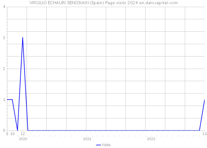 VIRGILIO ECHAURI SENOSIAIN (Spain) Page visits 2024 