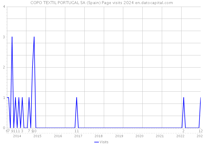 COPO TEXTIL PORTUGAL SA (Spain) Page visits 2024 