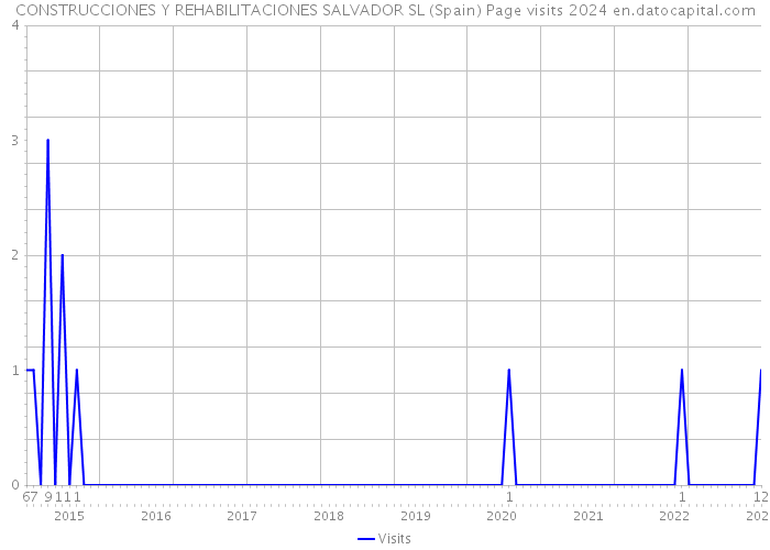 CONSTRUCCIONES Y REHABILITACIONES SALVADOR SL (Spain) Page visits 2024 