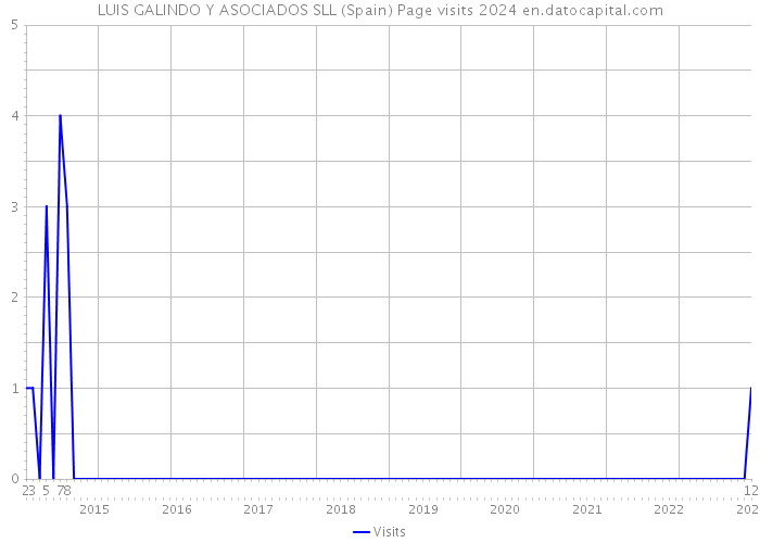 LUIS GALINDO Y ASOCIADOS SLL (Spain) Page visits 2024 