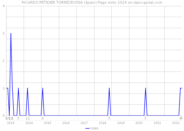 RICARDO PETIDIER TORREGROSSA (Spain) Page visits 2024 