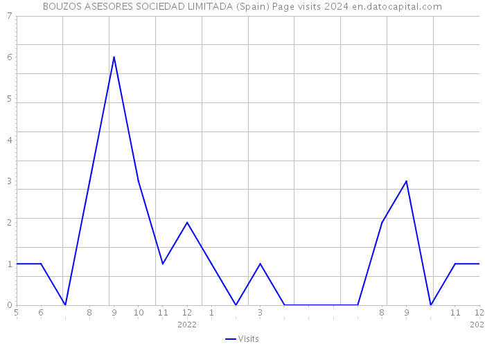 BOUZOS ASESORES SOCIEDAD LIMITADA (Spain) Page visits 2024 