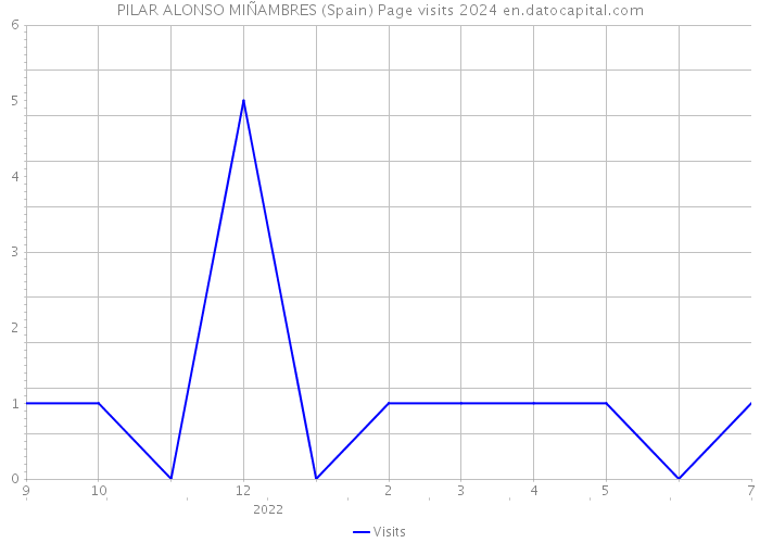 PILAR ALONSO MIÑAMBRES (Spain) Page visits 2024 