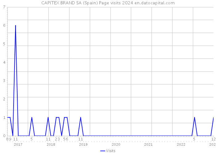 CAPITEX BRAND SA (Spain) Page visits 2024 