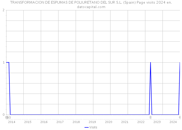 TRANSFORMACION DE ESPUMAS DE POLIURETANO DEL SUR S.L. (Spain) Page visits 2024 