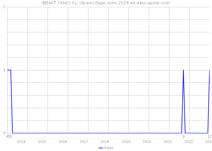 BENAT YANCI S.L. (Spain) Page visits 2024 