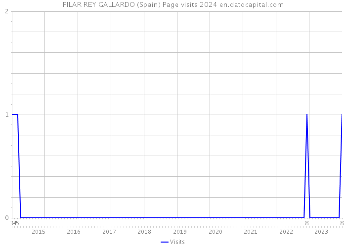 PILAR REY GALLARDO (Spain) Page visits 2024 