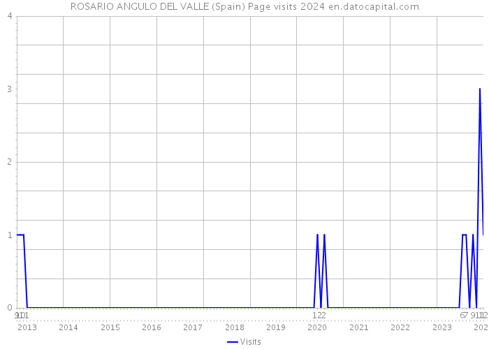 ROSARIO ANGULO DEL VALLE (Spain) Page visits 2024 