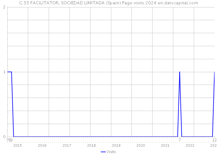 G 33 FACILITATOR, SOCIEDAD LIMITADA (Spain) Page visits 2024 