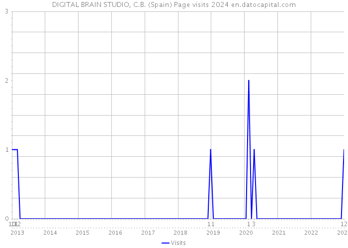 DIGITAL BRAIN STUDIO, C.B. (Spain) Page visits 2024 
