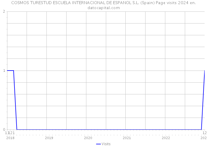 COSMOS TURESTUD ESCUELA INTERNACIONAL DE ESPANOL S.L. (Spain) Page visits 2024 