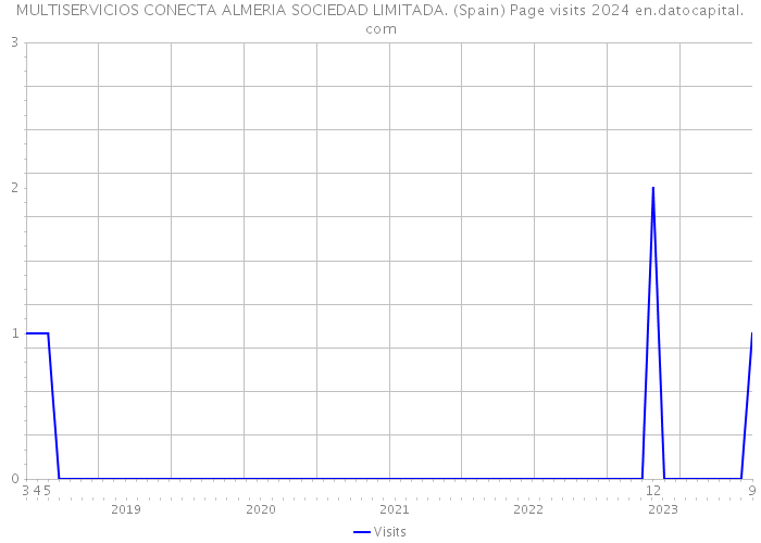 MULTISERVICIOS CONECTA ALMERIA SOCIEDAD LIMITADA. (Spain) Page visits 2024 