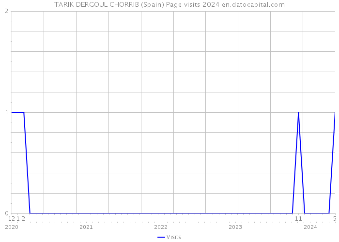 TARIK DERGOUL CHORRIB (Spain) Page visits 2024 