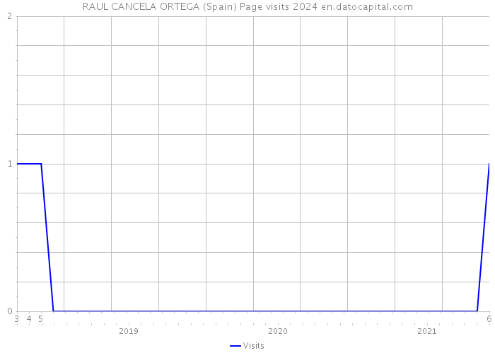 RAUL CANCELA ORTEGA (Spain) Page visits 2024 
