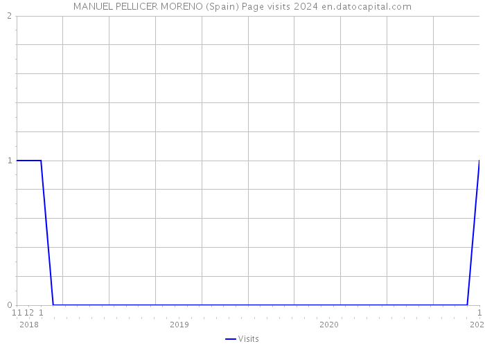 MANUEL PELLICER MORENO (Spain) Page visits 2024 