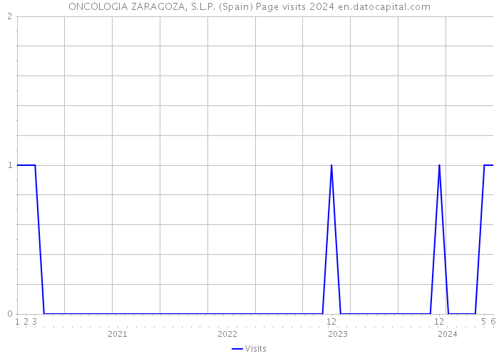 ONCOLOGIA ZARAGOZA, S.L.P. (Spain) Page visits 2024 