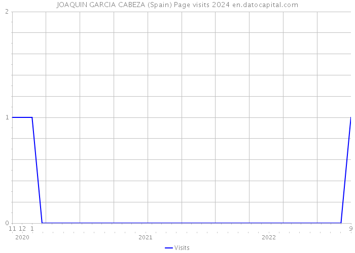 JOAQUIN GARCIA CABEZA (Spain) Page visits 2024 