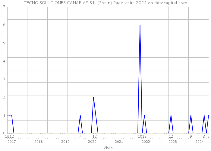 TECNO SOLUCIONES CANARIAS S.L. (Spain) Page visits 2024 