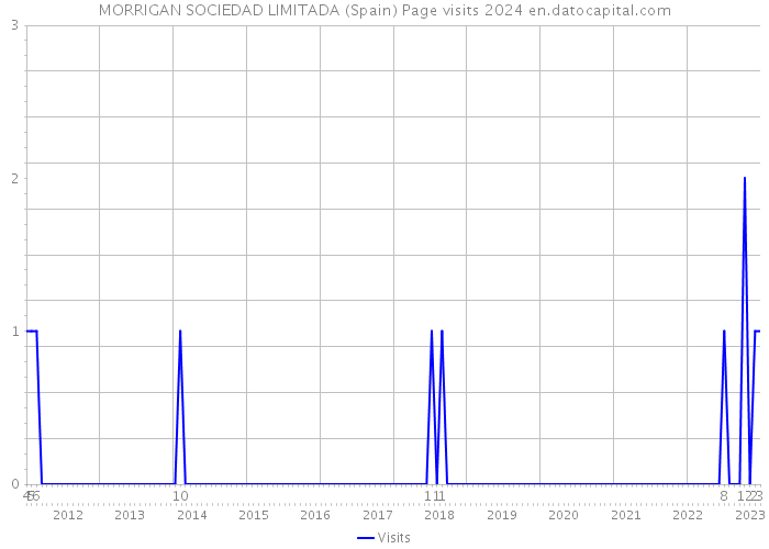 MORRIGAN SOCIEDAD LIMITADA (Spain) Page visits 2024 