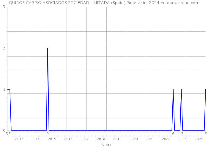 QUIROS CARPIO ASOCIADOS SOCIEDAD LIMITADA (Spain) Page visits 2024 