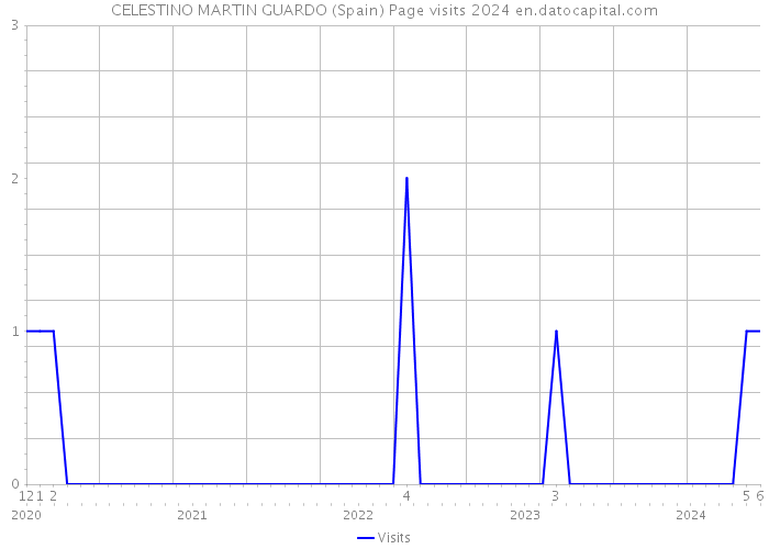 CELESTINO MARTIN GUARDO (Spain) Page visits 2024 