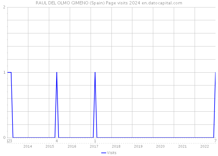 RAUL DEL OLMO GIMENO (Spain) Page visits 2024 