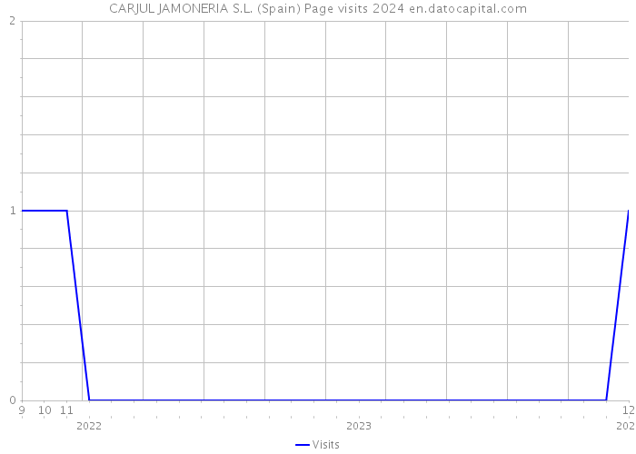 CARJUL JAMONERIA S.L. (Spain) Page visits 2024 