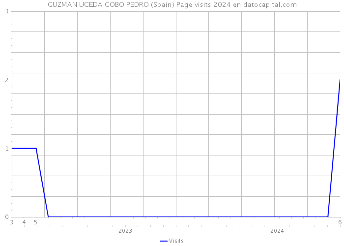 GUZMAN UCEDA COBO PEDRO (Spain) Page visits 2024 