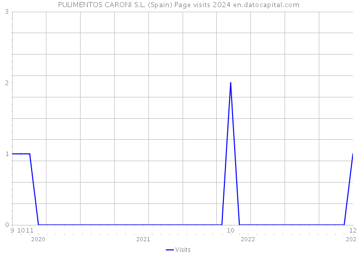 PULIMENTOS CARONI S.L. (Spain) Page visits 2024 