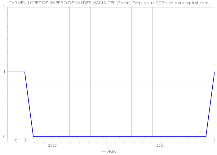 CARMEN LOPEZ DEL HIERRO DE VALDES MARIA DEL (Spain) Page visits 2024 