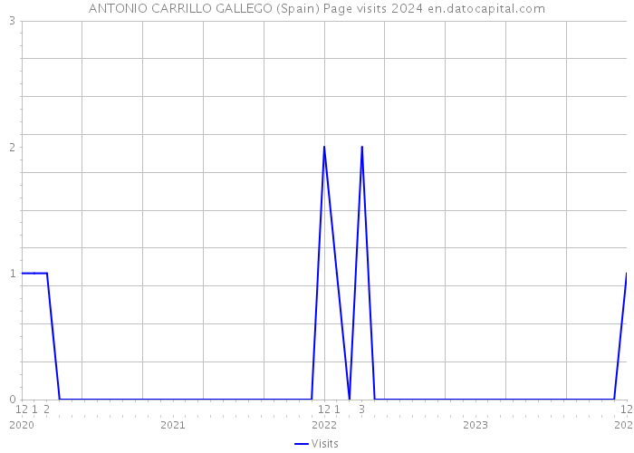 ANTONIO CARRILLO GALLEGO (Spain) Page visits 2024 