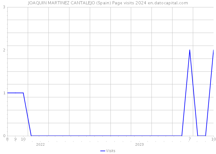 JOAQUIN MARTINEZ CANTALEJO (Spain) Page visits 2024 