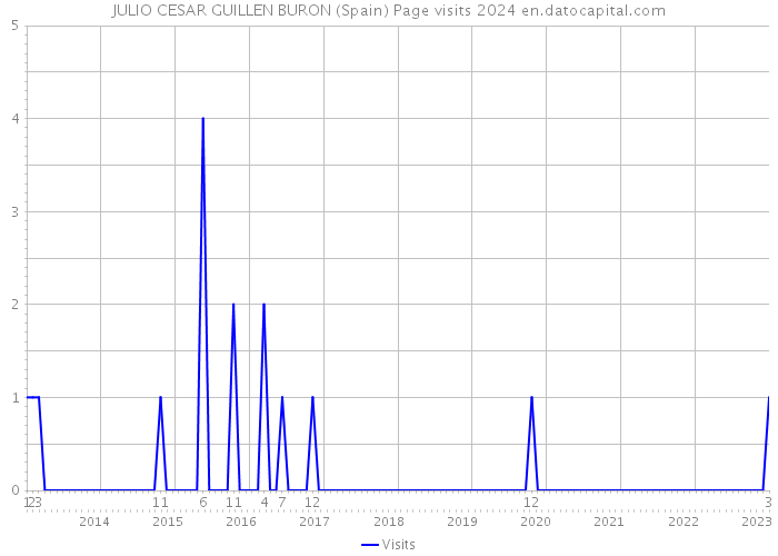 JULIO CESAR GUILLEN BURON (Spain) Page visits 2024 
