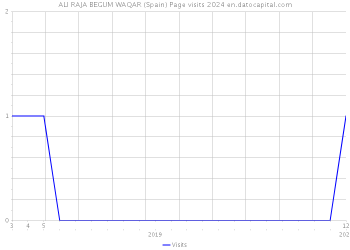 ALI RAJA BEGUM WAQAR (Spain) Page visits 2024 