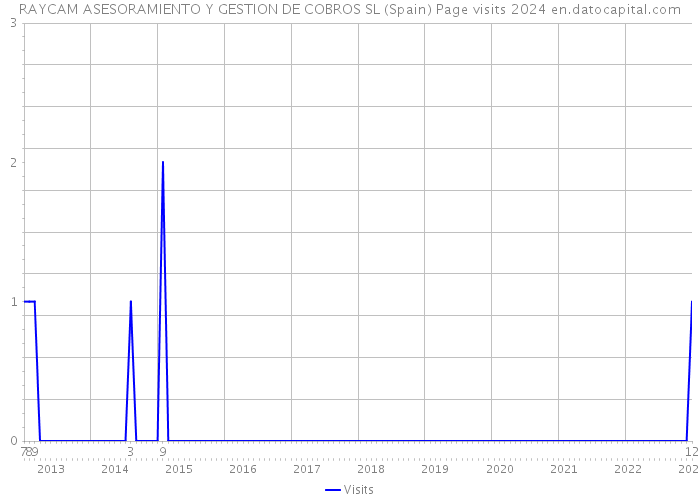 RAYCAM ASESORAMIENTO Y GESTION DE COBROS SL (Spain) Page visits 2024 