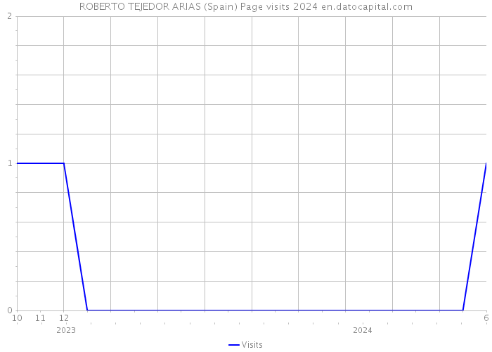 ROBERTO TEJEDOR ARIAS (Spain) Page visits 2024 