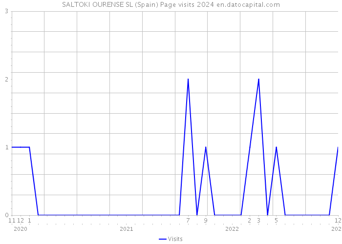 SALTOKI OURENSE SL (Spain) Page visits 2024 