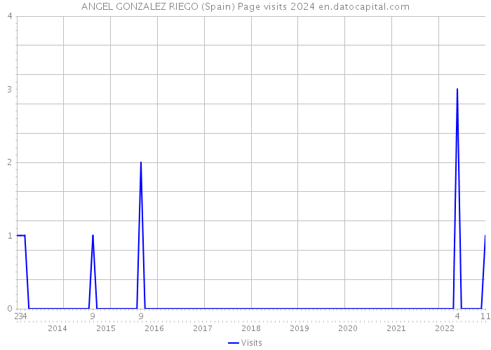 ANGEL GONZALEZ RIEGO (Spain) Page visits 2024 