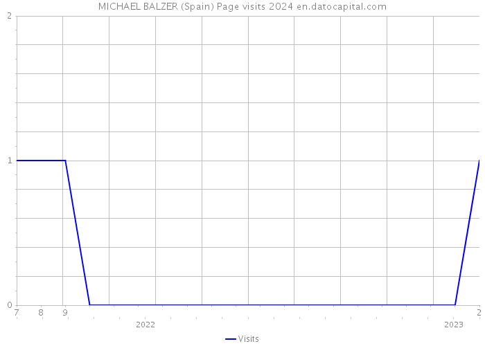 MICHAEL BALZER (Spain) Page visits 2024 