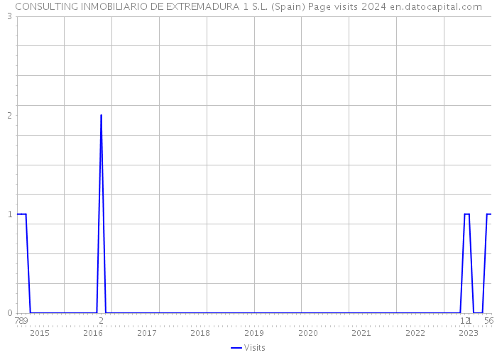 CONSULTING INMOBILIARIO DE EXTREMADURA 1 S.L. (Spain) Page visits 2024 