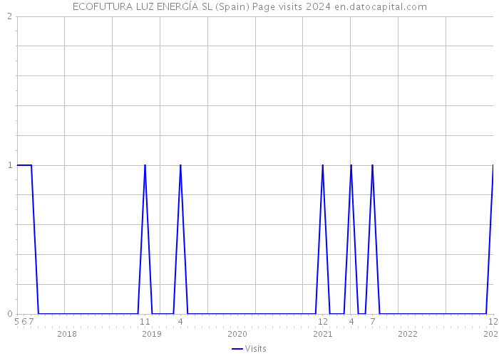 ECOFUTURA LUZ ENERGÍA SL (Spain) Page visits 2024 