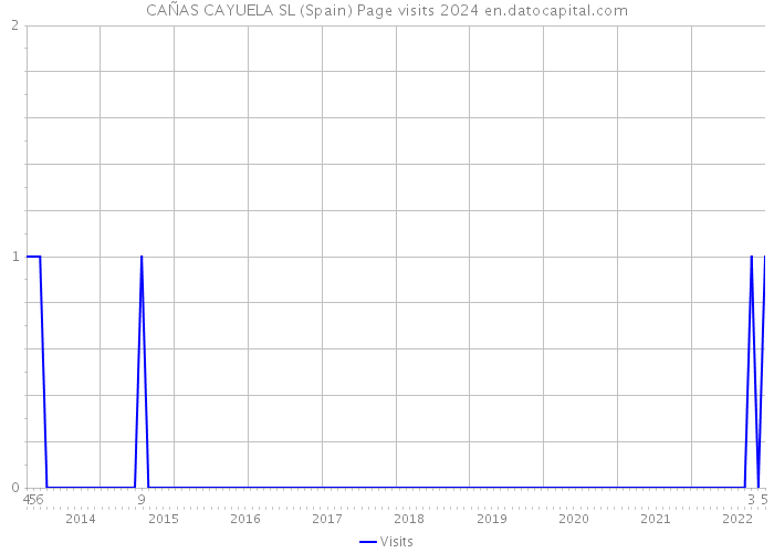 CAÑAS CAYUELA SL (Spain) Page visits 2024 